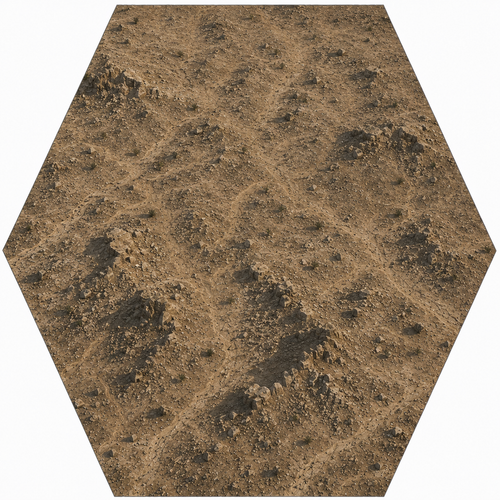 rough desert