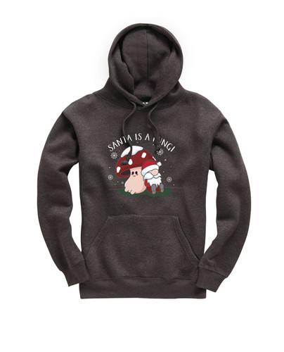 c621 santa is a fungi+CL018DHR.jpg