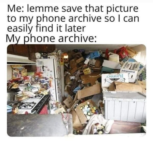 yDytisk.jpg