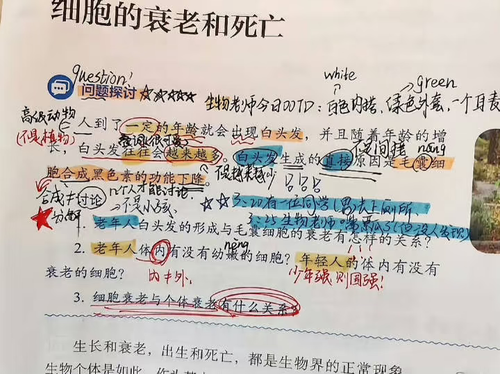 1000099372.png