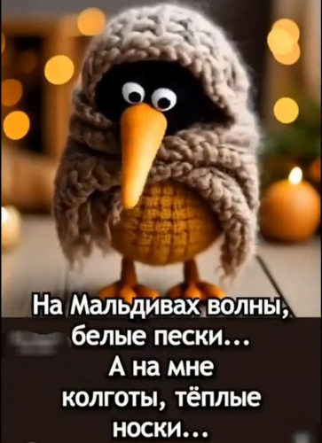 1000014157.jpg