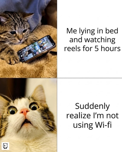 MEME (2).png