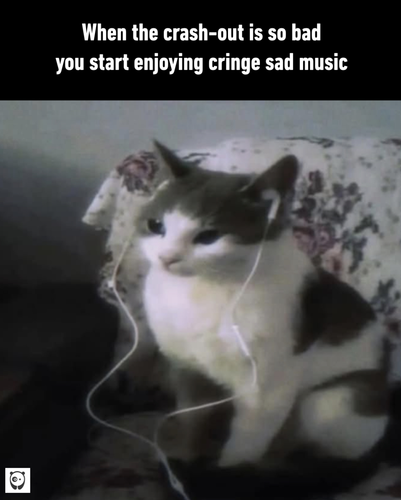 MEME.png