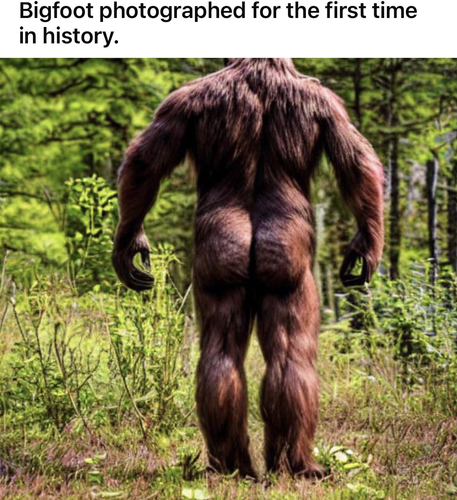 FhmkFjJXEAEkIZD.png