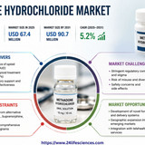 httpswww.24lifesciences.com 2026 05 06T130328.025