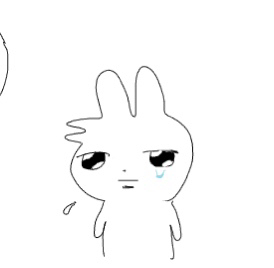 IMG 2448.png