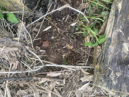 IMG 3155.jpg