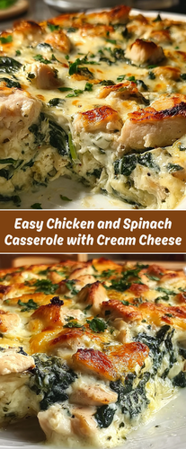 Chicken and Spinach Casserole with Cream Cheese (3).png
