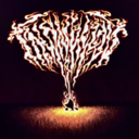 e16107fa8759.png