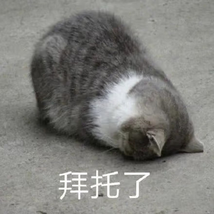 IMG 20260506 143015.jpg