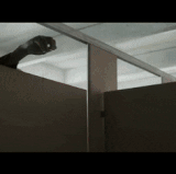uwMzYdy.gif