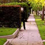 rXjswnT.gif