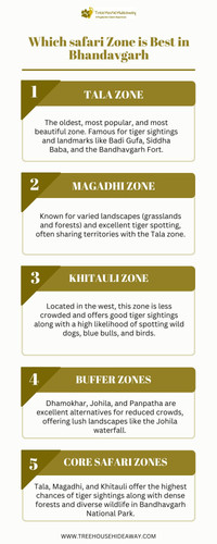 Which safari Zone is Best in Bhandavgarh (1).jpg