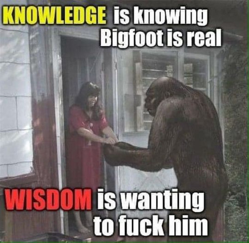 Wo1JLrI.jpg