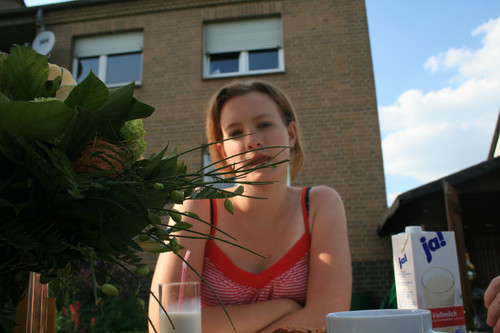 IMG 8826.jpg