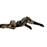 g2FCZN7.gif