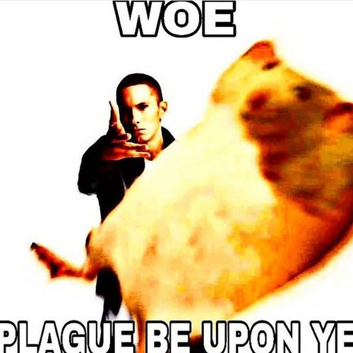 PoveiTa.jpg