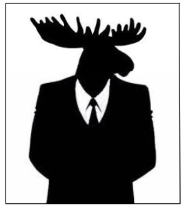 Anonmoose
