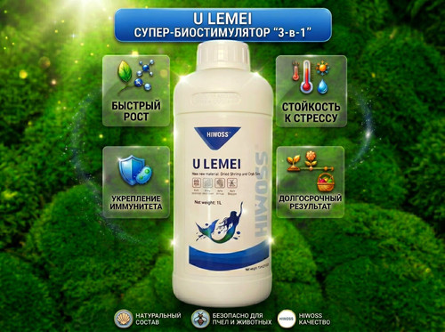 u lemeni 2 результат результат.jpg