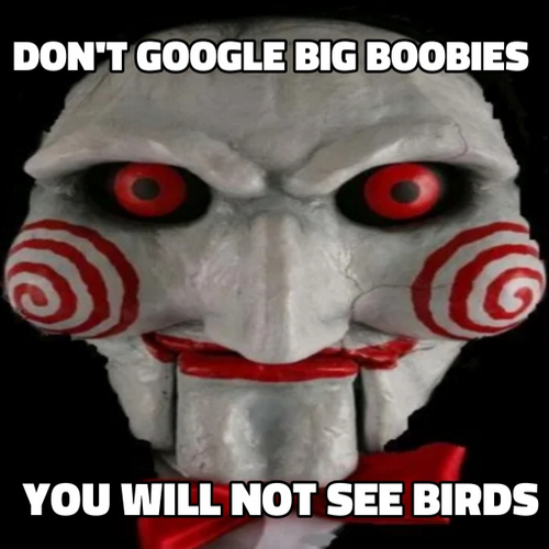QfK5254.png