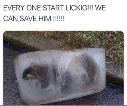 DLPA1UL.jpg