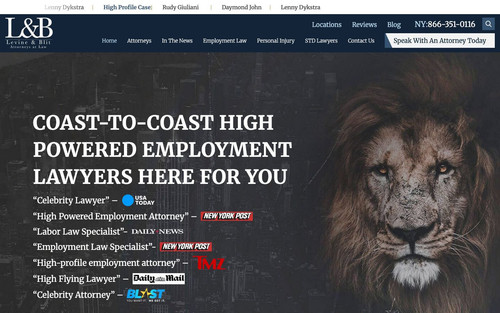 levinblit home firefox desktop fold.jpg