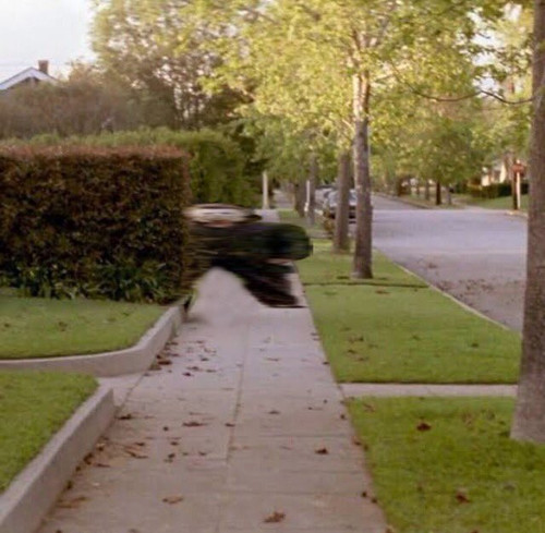 JTpGy0r.jpg