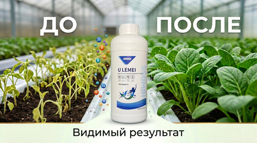 Gemini Generated Image dlt6lpdlt6lpdlt6 (1) результат.jpg