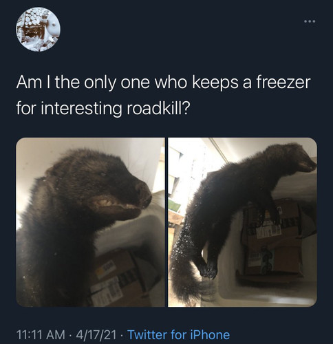 EAxUZtr.jpg
