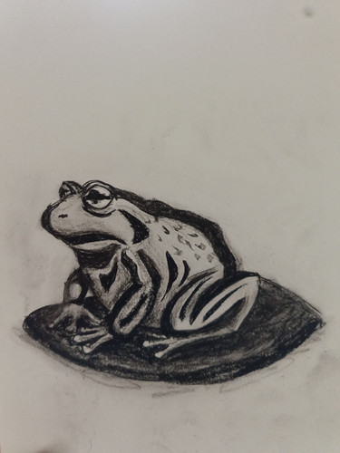 IMG 20260408 124428 716.jpg