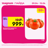 Magnum 1440x1440 1 tov 2026 04 08T144845.310