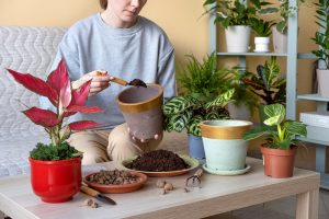 Premium Landscape Plants in Los Angeles | Urban Jungle Garden Experts.png