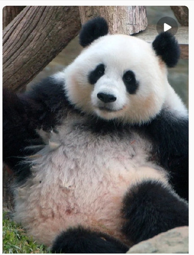 Screenshot 20260408 145948.jpg