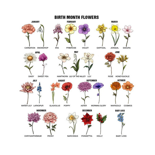 imgi 112 BirthMonthFlower d9d7c5da 4d64 4474 9408 5069c321d02f.jpg