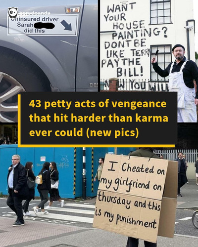 funny pics revenge.jpg