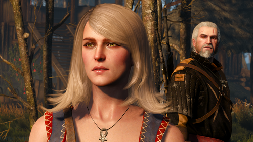 the witcher 3 wild hunt 31943370518 o.png