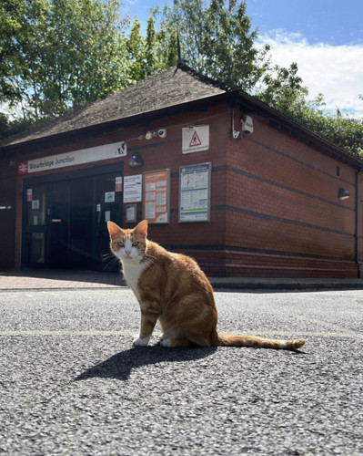 666050628 1399303405569404 2612840267452561384 n.jpg