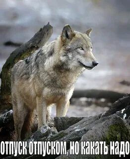 blob.jpg