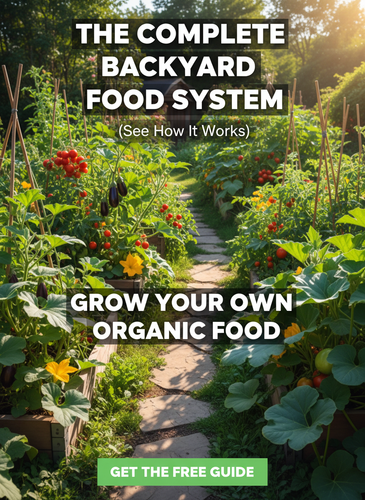 pin 1 backyard food system 1.png