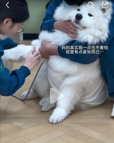 Screenshot 20260408 164608.jpg