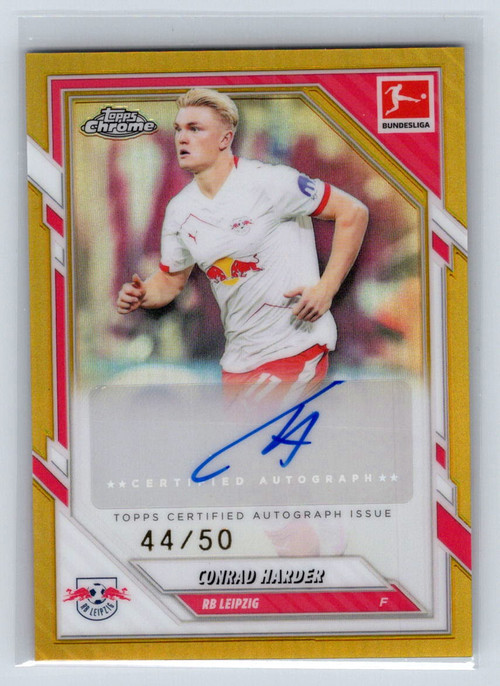 Document 20260407 0158.jpg