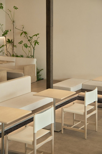 fec55551 c179 47b1 afbb b1bda1ea56c9.jpg