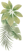 leaf 1.webp