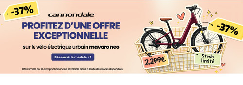 WEB BANNER 12 (7).jpg