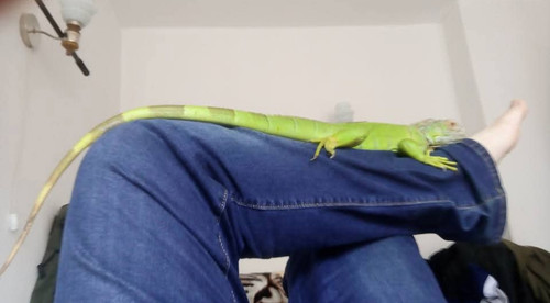 Screenshot 20260408 161526.jpg