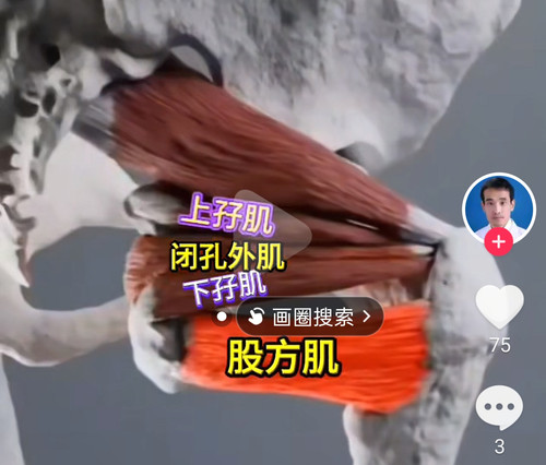 Screenshot 2026 04 05 04 41 55 10 2332cb9b27b851b548ba47a91682926c.jpg