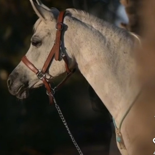 Ikraam mohamed yasiin.jpg