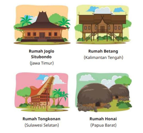 WhatsApp Image 2026 04 08 at 13.12.34.jpg