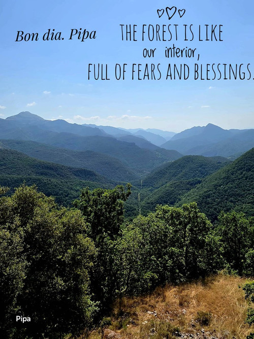 HFW5skCasAA wbD?format=jpg.jpg