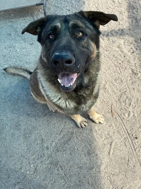 HFKRlHlbMAE ZQ3?format=jpg.jpg